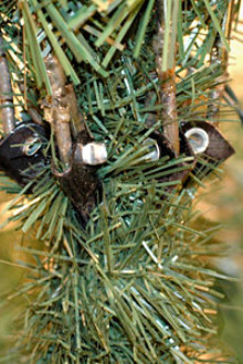 Christmas tree hinged branches